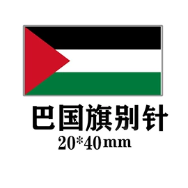 饰品配件;胸针;鞋扣