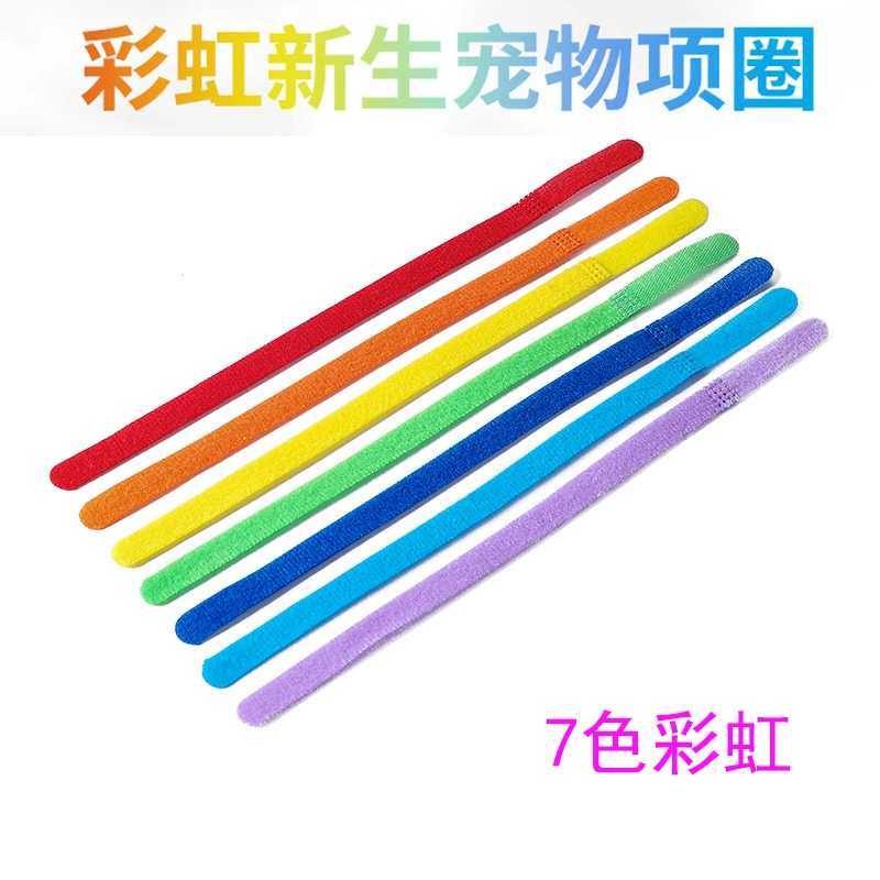 Домашние животные Категория Ошейник Щенок Идентификация Щенок Ошейник Ошейник Новорожденный Щенок Порядок рождения Кошка Ожерелье Молочная Собака