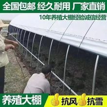 Nֲȫ״ǼBֳuBi߲˴ﻨﱣش