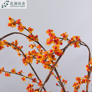 �����ٷ���{�� ���渻�F�lؔ������ʽ��c�b��滨���Ӱlؔ��