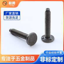 �S�������c�����ݽz8.8�������c�c�����͹����˨M5M6M8M10����