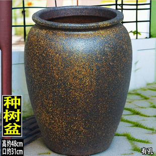 ̖�մɻ�����Ѫ�仨����ؑ��⾰�^���̨�N������𻨘����