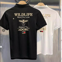 P 21   �̽��r�г����n��