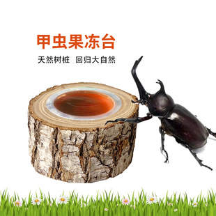 �����ɼ��x����̨���x�������@���x�A����������ʳ̨��ľ�쾰�䘶