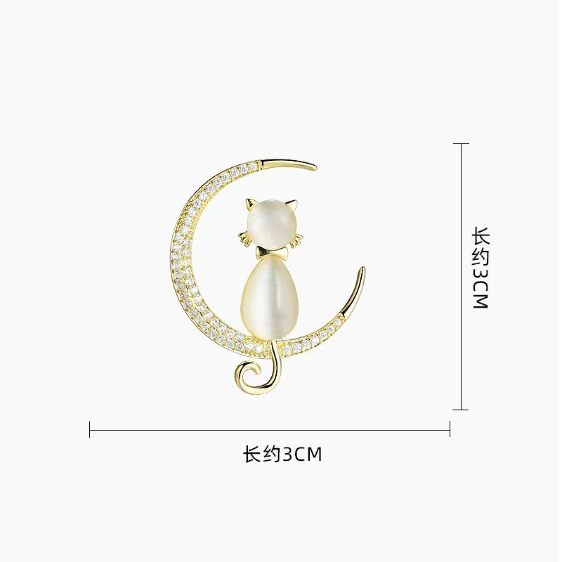 c311affb1ae536f8aef13168c039a7