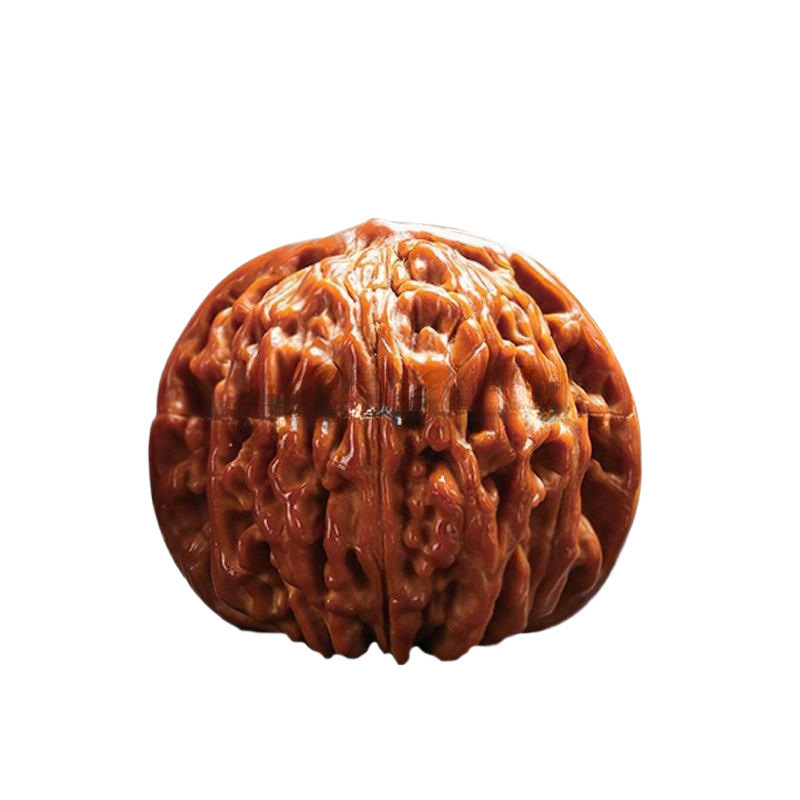 844274330497白底图