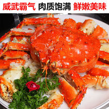 帝王蟹海鲜鲜冻水产4-10斤特大螃蟹冰鲜生冻蟹面包蟹包邮