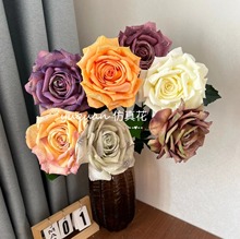 �����Ī���ͮ�õ�����ٻ��͏d������ˇ�b[���͹Ż�c���zӰ