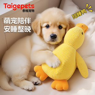 �������ë�q��˯����ҧĥ���l�␞С����Ȯ����l����S����