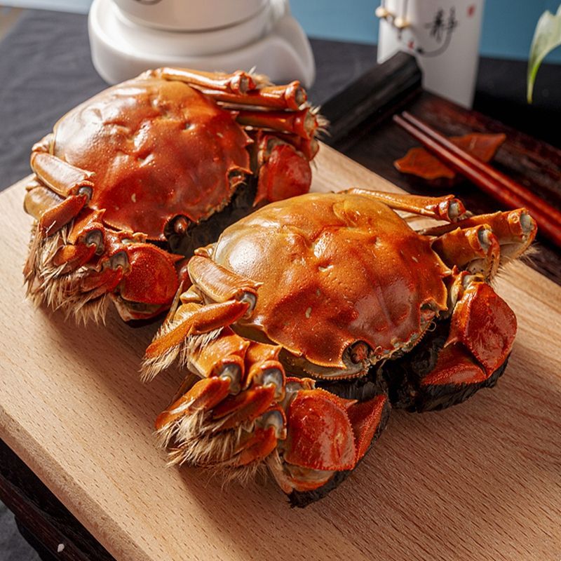 Crabs Red Crab Fresh Large Crabs Crab 6/8/10 Gift box packaging Shunfeng One piece On behalf of Cross border