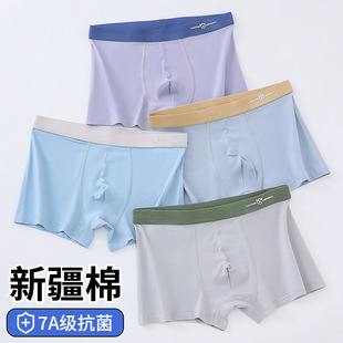 Teenager Underwear Developmental Men's Pure Cotton Boxer Shorts Boys High School Students 20 Years Old Modal Boxer Pants