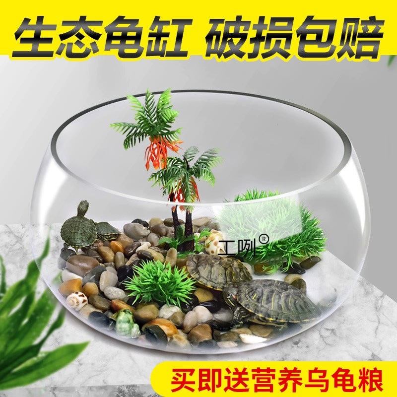 Круглый стеклянный аквариум для черепах, гидропонная система, домашний мини-аквариум для рыбок, креативный прозрачный мини-аквариум для черепах, ландшафтный дизайн