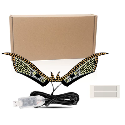 lamp modified kazilan big eye | Other lights