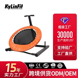 其他健身器材;组合健身用品;哑铃