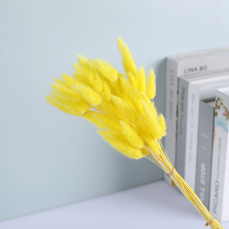 La flor eterna de la flor de la cola de conejo hierba seca 60 piezas al por mayor Dogtail hierba seca ramo de flores decoración DIY conejo hierba de la cola