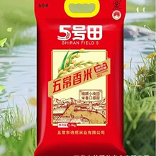 2025���峣�L������ �|������5���S������b�Fĥ���� �S��ֱ�l��