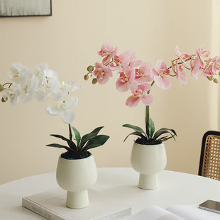 �¿��������m���~�Ӳ廨��ݼҾӾGֲ�����b��ϻ�ˇ�Y�����l