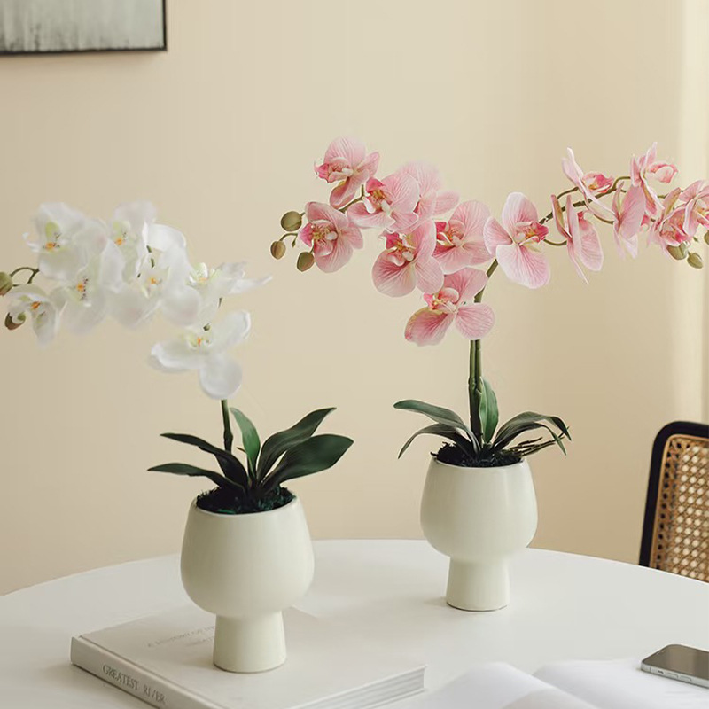 新款仿真蝴蝶兰花叶子插花配草家居绿植盆栽装饰材料花艺资材批发