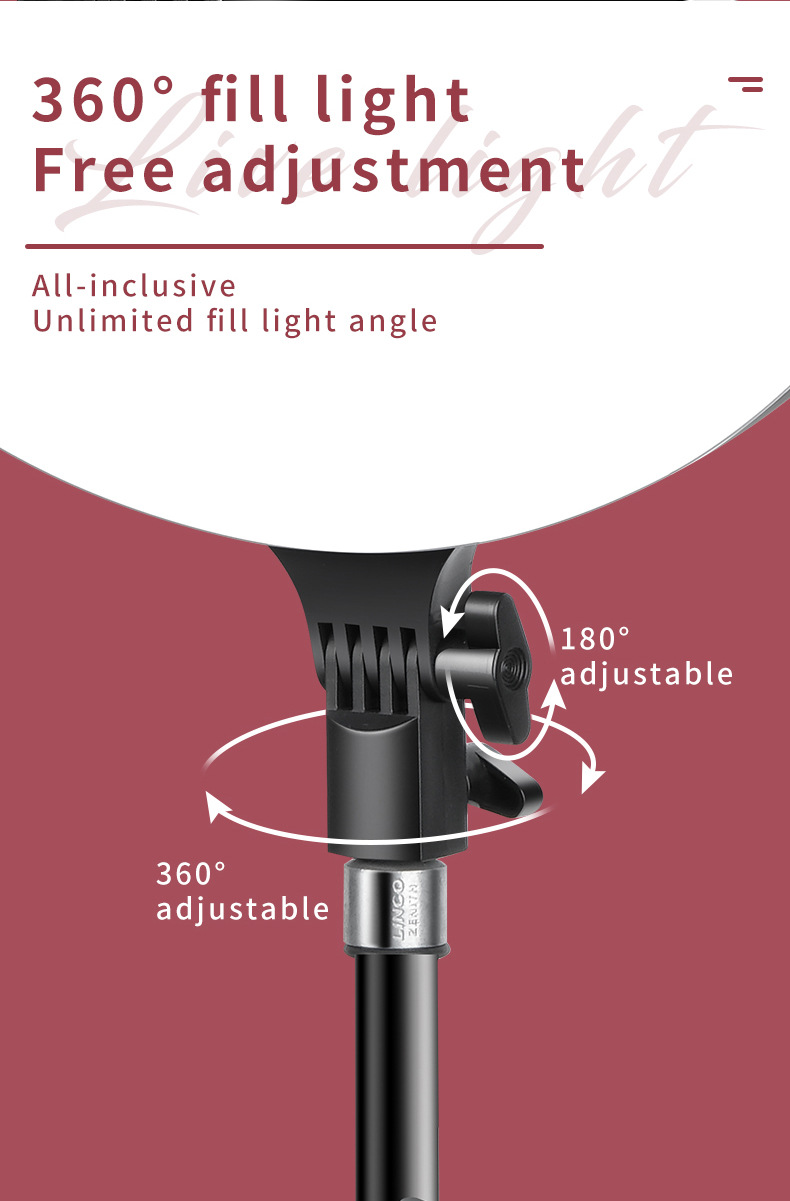 Professional Lighting Setup