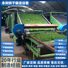 厂家供应各种茶叶烘干机、茶青叶摊青机、青叶网带烘干机定制加工