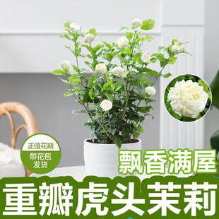 �ذ껢�^�������ԾGֲ�Ϙ����㎧�����ļ��_�����B���ܾջ�����