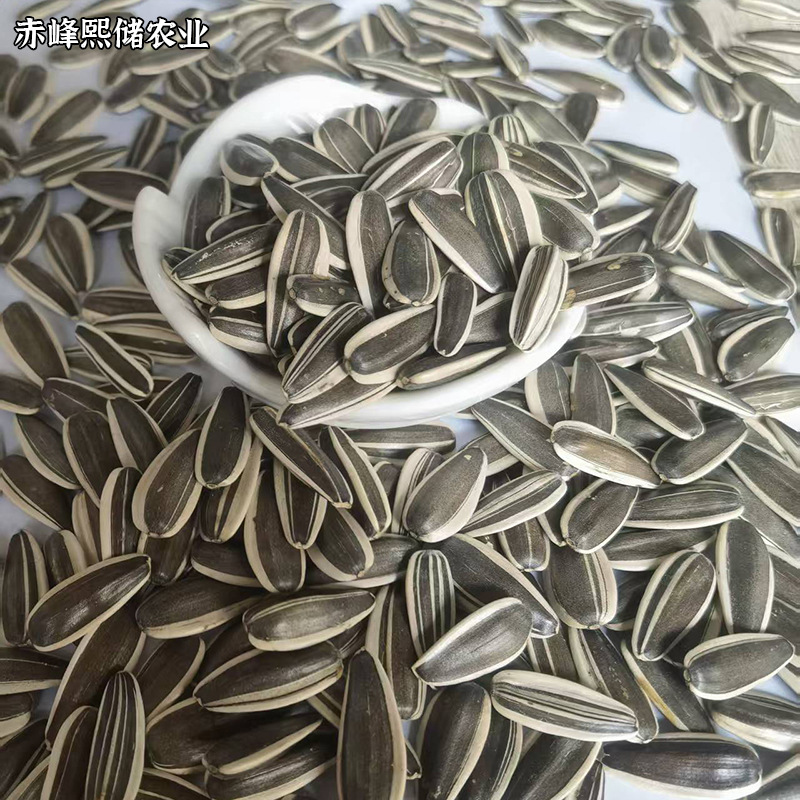 80dd17944a96f6094e3f7a7facffe4