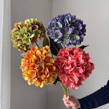 �羳���N96Ƭ3D���~��ɫ������滨Ʒ�|����؛ԴԴ�^���S���lܛ�b