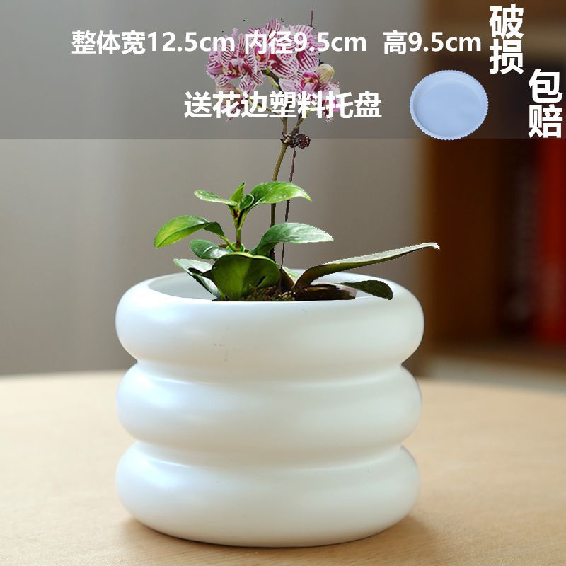 Donut matte white (comes with tray)