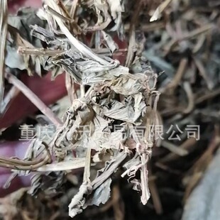 1�������lɢ�b��Ʒ�`�������������,�Ų����������V�������؛