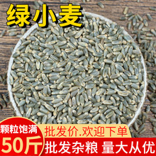 绿小麦 50斤新货青小麦粒农家自种绿小麦五谷杂粮煮粥批发