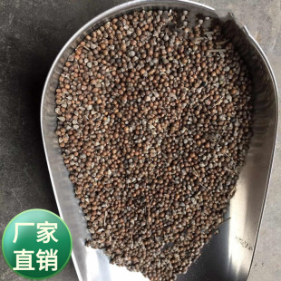 ���l���~��ľ �G�l�N���ֽ� �S�G�N�� �G�l�����ͺ� �����L�ɽ��