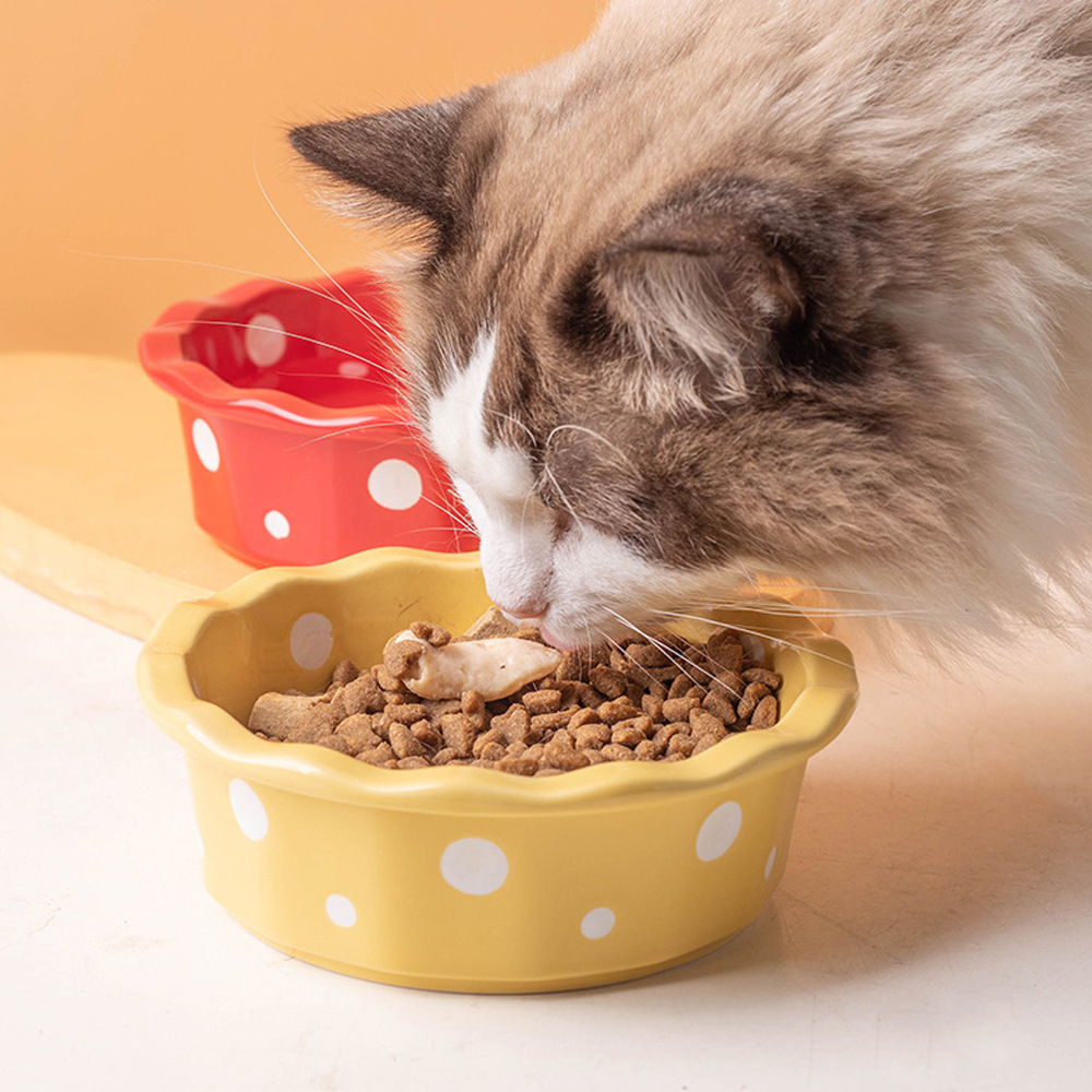 Pet Cat Water Bowl Snacks Cann bowl cat rice bowl dog food bowl cat food bowl wave dot cat bowl cat bowl ceramic 3
