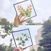 压花器植物标本膜树叶书签塑封膜护卡DIY透明膜照片塑封跨境批发