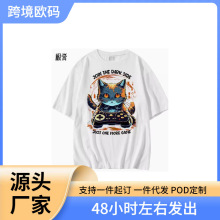 Ȥζ��ʽ���Ŵ���è��ڰ������T��������Ů���ļ�