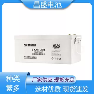 昌盛 6-CNFJ-250 太阳能工业电池 太阳能电池凝胶 厂家直销