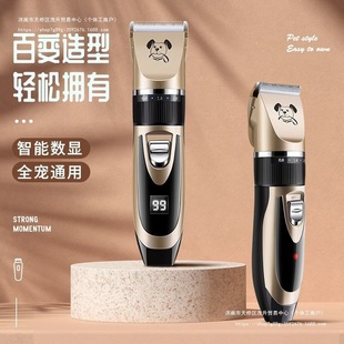 ������ë��؈����Ƽ�������ë��ȫ�Ԅ��޼������Ӽ�ë