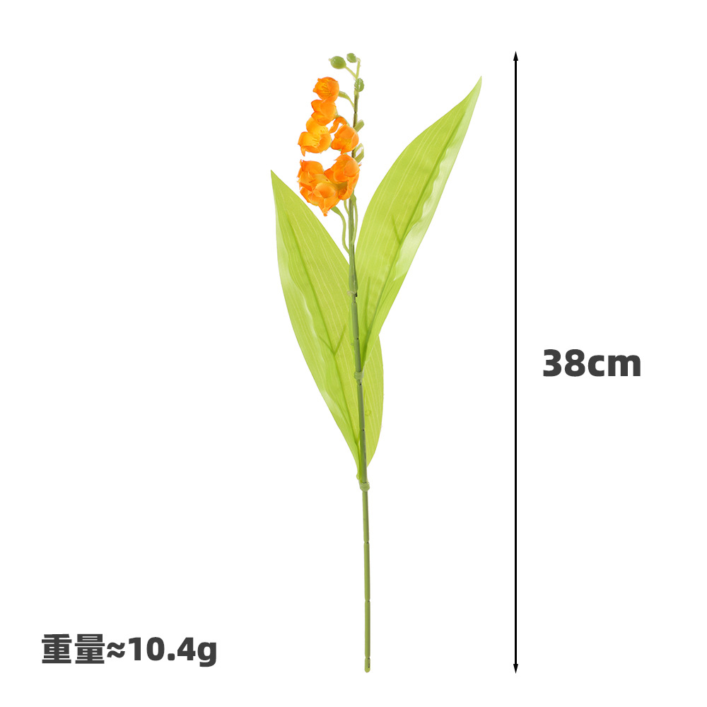 도라지-오렌지