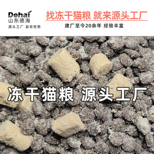 Cat Food Manufacturer Wholesale 10kg Kitten Adult Cat Universal Baked Fresh Meat Freeze-Dried Cattery Cat Food Ready-Made Customization