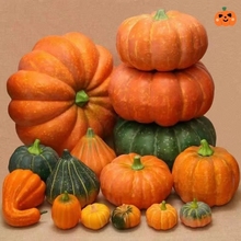 ✅南瓜水果蔬菜模型大南瓜塑料假南瓜蔬菜道具橱柜摆件装