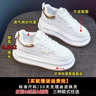 ���ļ�͸��������m�p����Ů��ЬС���Ӛ��|�����\���n��С��Ь