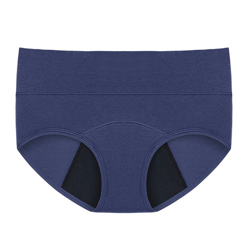 Women's Large Size Menstrual Triangle Pads 50ml - Excessive Postpartum Four Layer Sanitary Pads