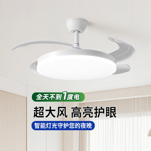 灯扇一体吊扇灯