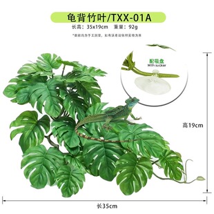 �����Gֲ�����Pˮ�����쾰������