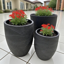 ¹̈e¿bVԴ^S߈ArСԺͰ