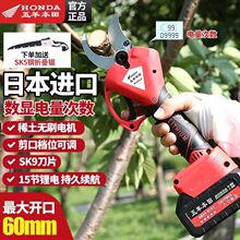 �ձ��M���¿���늄Ӽ������@��֦������֦�o�������늼���