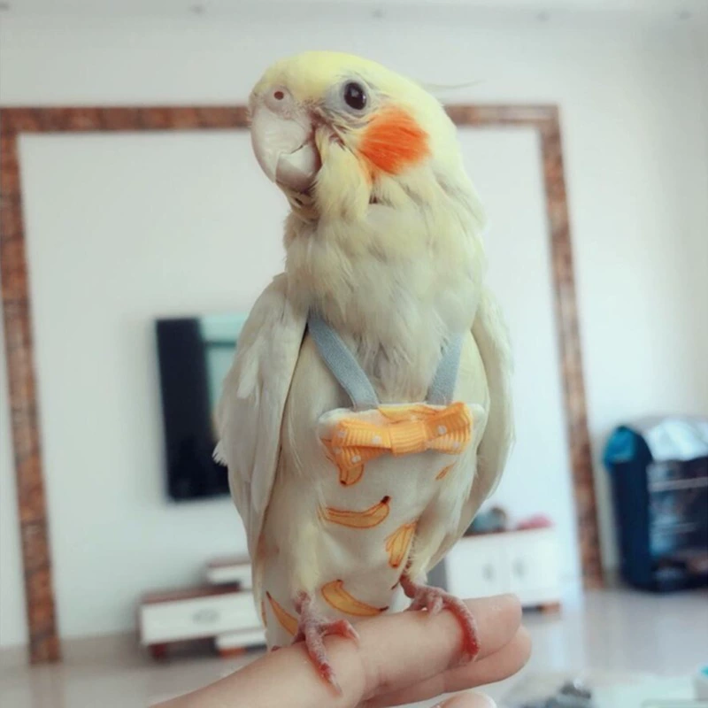 Новая моча птиц не промокает карманы, одежда для попугая, Xuanfeng Eighth Brother Birds можно настроить полет и установить мочеиспускание, не промокающая