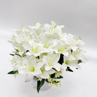 7�^����ٺ�3D�ָмٻ� ��c���üҾ��b�С�ٺϻ��羳��
