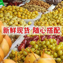 �V���`ɽ�خa��Ұ��ɫ��SС�����������}���������Ѹʲ��ϙ���ʳ