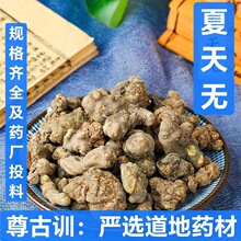 中药材 夏天无 一粒金丹 伏地延胡索 夏天无 支持药检 代磨粉