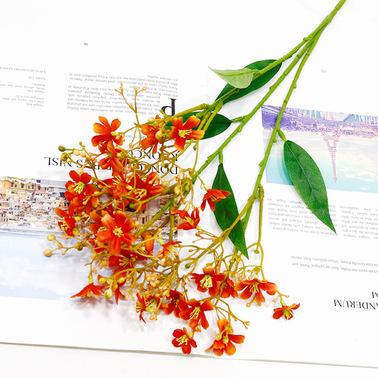 3갈래 상향꽃 오렌지